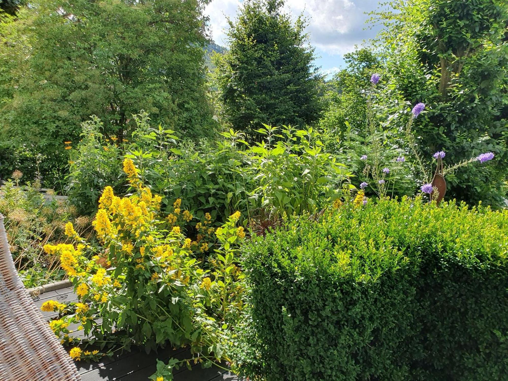 Holiday Apartment With Terrace In Винтерберг Екстериор снимка